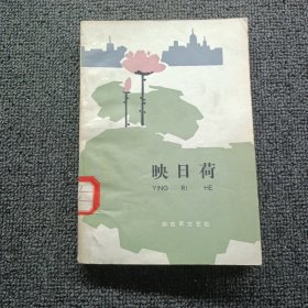 映日荷