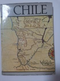 CHILE SERGIO GELCICH 智利