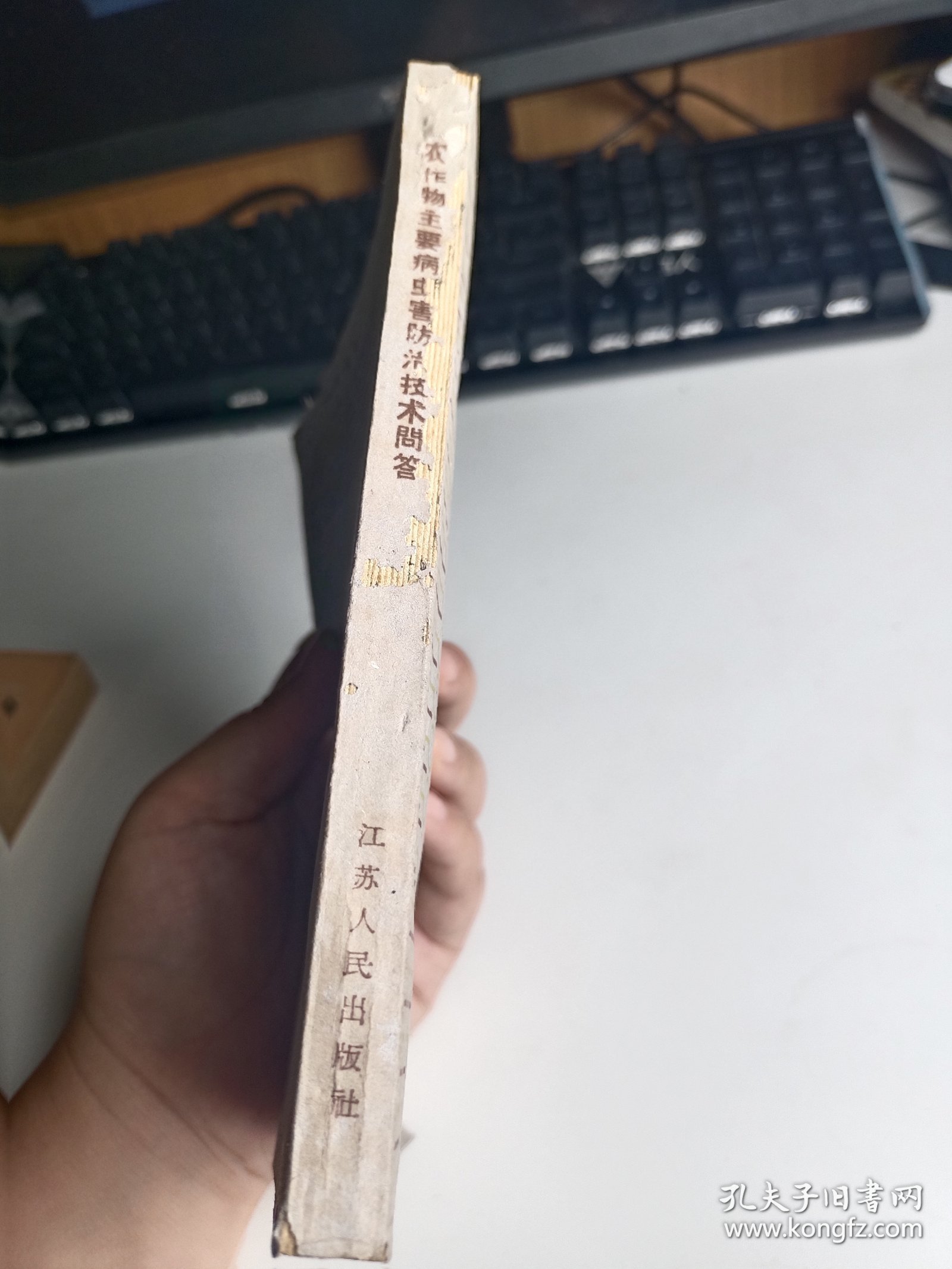 农作物主要病虫害防治技术问答