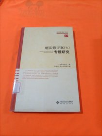 刑法修正案专题研究7