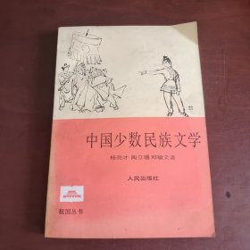 中国少数民族文学