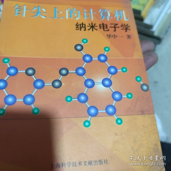 针尖上的计算机：纳米电子学