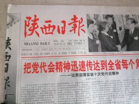 陕西日报2002年5月31日 (今日8版)