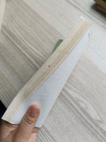 卡尔纳普思想自述
