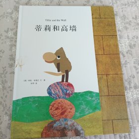 蒂莉和高墙