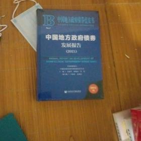 中国地方政府债券发展报告（2021）未开封【90】