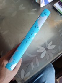 背叛(布克奖全美书评家协会奖，《纽约时报》十大好书）