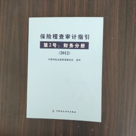 保险稽查审计指引第2号：财务分册