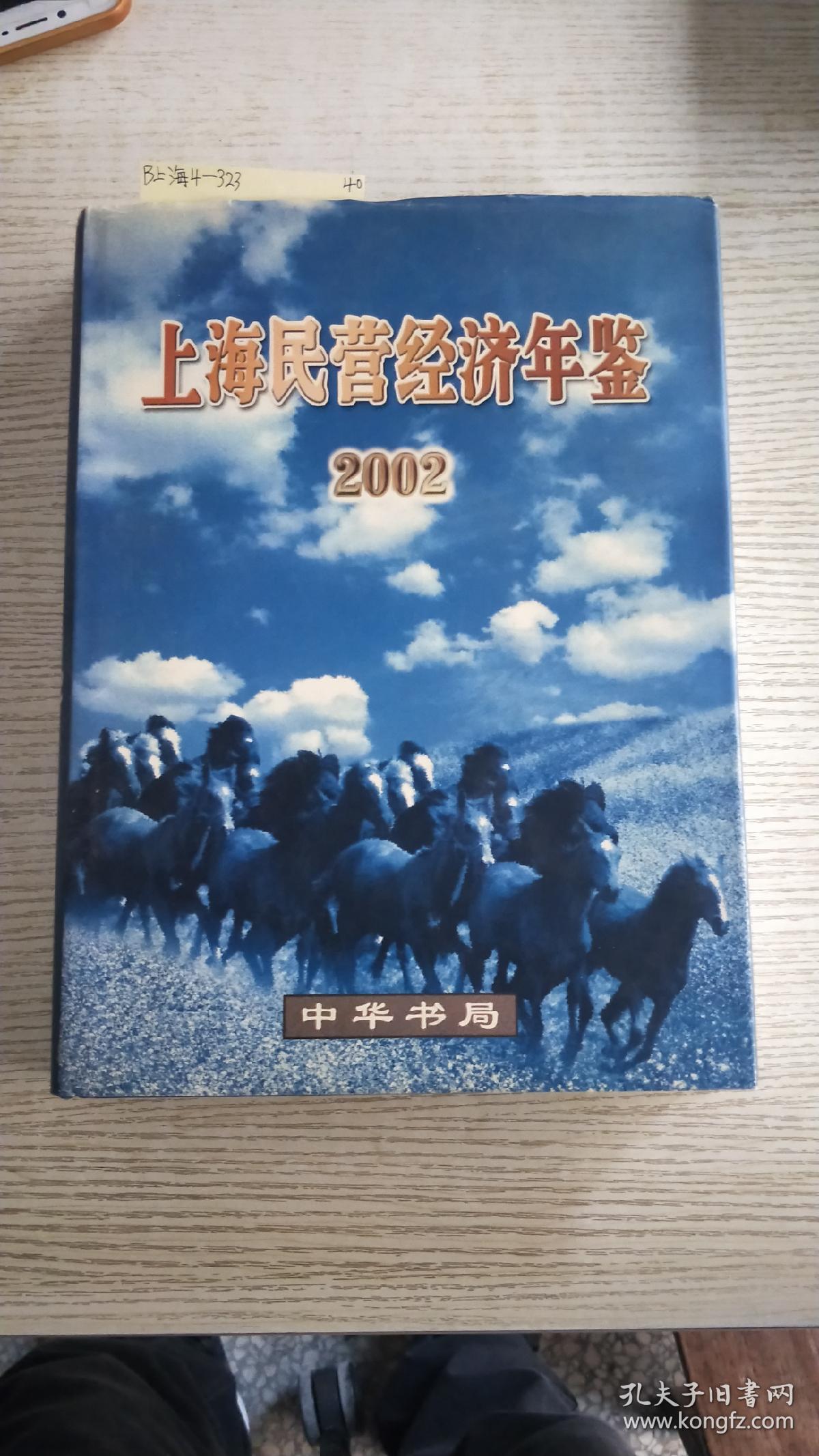 上海民营经济年鉴.2002