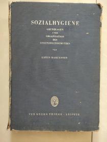 SOZIALHYGIENE:GRUNDLAGEN UND ORGANISATION DES GESUNDHEITSSCHUTZES  (MIT 169 ABBILDUNGEN) 德文原版 布面精装线装16开 (社会卫生学与保健组织学) 图标丰富，铜板纸，较重