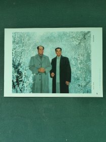 8开，1978年，名家（赵友萍，李天祥）绘〔山花烂漫时〕批发18元张