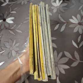 电脑骑士上下8册全