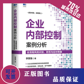 企業(yè)內(nèi)部控制案例分析 全流程風(fēng)險(xiǎn)識(shí)別、防范與應(yīng)對(duì)思路 9787115595508
