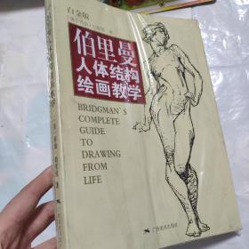 伯里曼人体结构绘画教学（白金版）