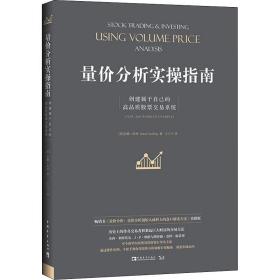 量价分析实操指南：创建属于自己的高品质股票交易系统（畅销书《量价分析：量价分析创始人威科夫的盘口解读方法》实操版）