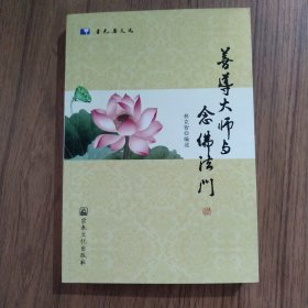 善导大师与念佛法门/香光居文选