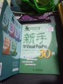 互动学编程:新手学(VisuaIFoxPr030例、visuaIBasic30例、DeⅠphi30例、Access30例、ⅤisuaIc十十30例)全套共五册合售无光盘