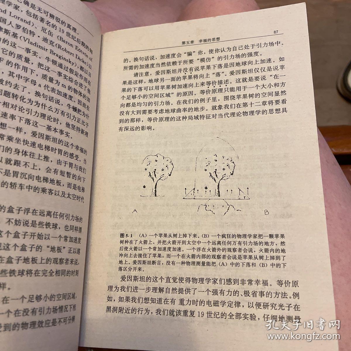 可怕的对称：现代物理学中美的探索