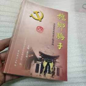 槐乡骄子:洪洞县中共党史人物资料