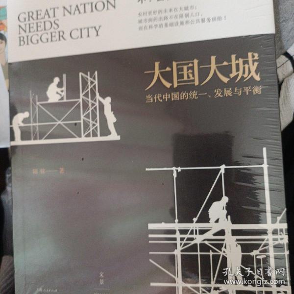 大国大城：当代中国的统一、发展与平衡