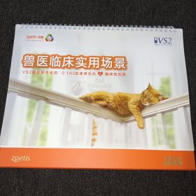 兽医临床实用场景:VS2猫友好生化仪+0.1ml血液测生化+猫咪低应激