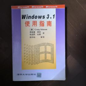 windows3.1使用指南