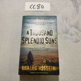 A Thousand Splendid Suns