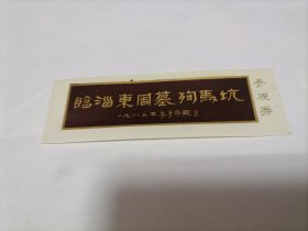 临淄东周墓殉马坑 塑 大箱内