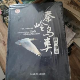 秦岭鸟类原色图鉴