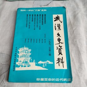 武汉文史资料一九九一年第三辑总第四十五辑 (独树一帜的三亲史料)