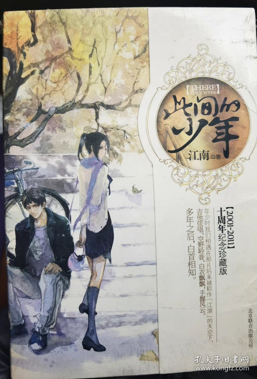 此间的少年：十周年纪念版