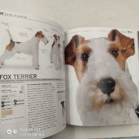 The Complete Dog Breed Book: Choose the Perfect Dog for You 狗狗类品种完整书 超420个狗狗品种参考面板图册 狗狗护理照顾基础知识 DK百科