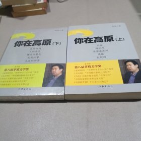 茅盾文学奖作品：你在高原 上下（一版一印）