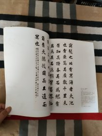 2010当代中青年书法家创作档案：王学岭