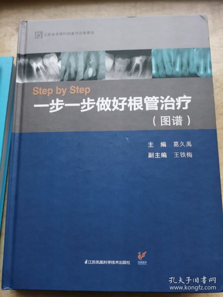 Step by Step-----一步一步做好根管治疗（图谱）（精）