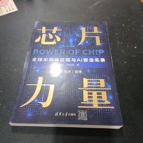 芯片力量：全球半导体征程与AI智造实录