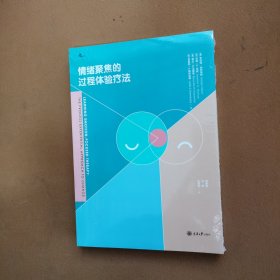 情绪聚焦的过程体验疗法