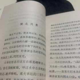 叶笛集