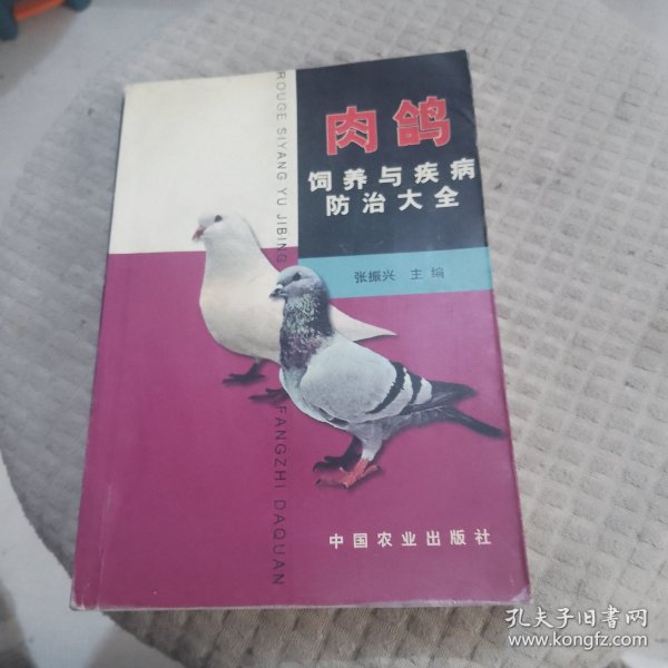 肉鸽饲养与疾病防治大全