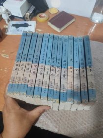 中国古典名著珍藏宝库：（全13本合售）