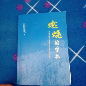 燃烧的雪花：北京冬奥会和冬残奥会志愿者的闪亮瞬间