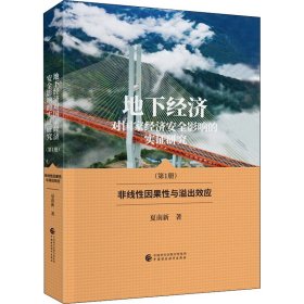 地下经济对国家经济安全影响的实证研究(第1册) 非线性因果性与溢出效应