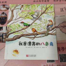 我是漂亮的八色鸟