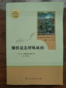 统编语文教材配套阅读 八年级下：钢铁是怎样炼成的/名著阅读课程化丛书