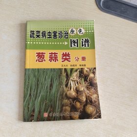 蔬菜病虫害诊治原色图谱：葱蒜类分册