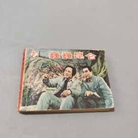 巍巍昆仑