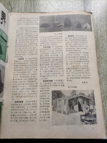 科学画报1987年1-12（全12册）