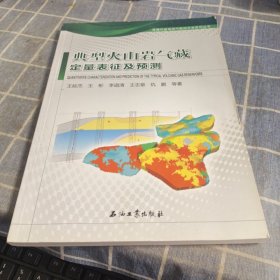 典型火山岩气藏定量表征及预测