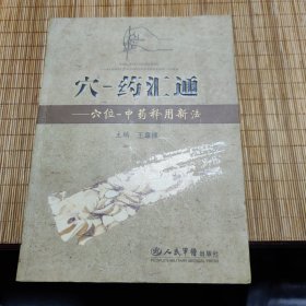 穴-药汇通：穴位-中药释用新法