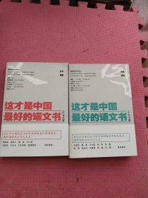 这才是中国最好的语文书：综合分册、小说分册（2本合售 见图）